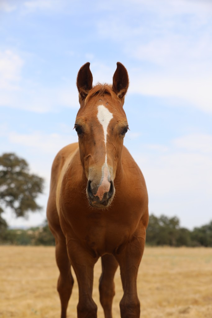 *SOLD* AINT THAT&nbsp;SOME