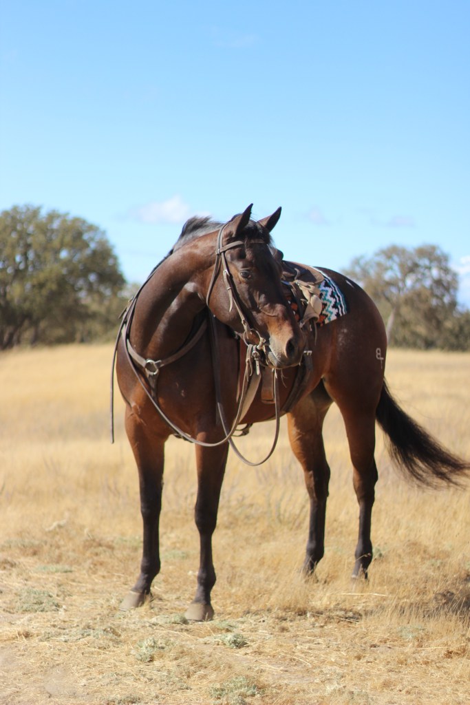 *SOLD* GOTTA HOT&nbsp;MAMA