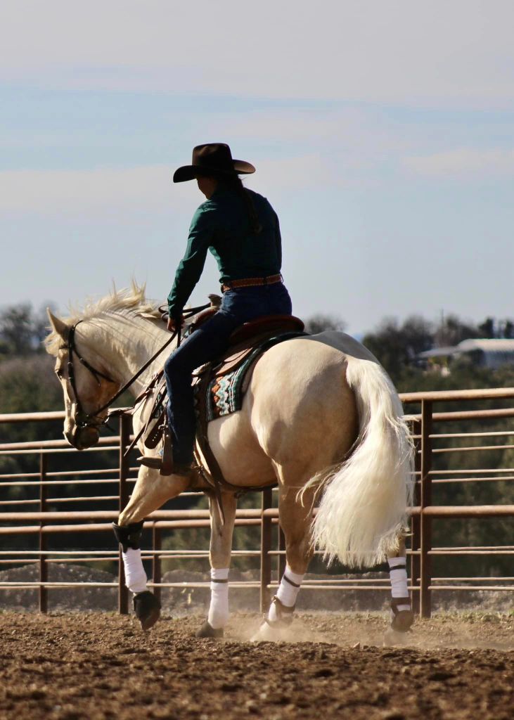 *SOLD* HARLAN’S PEPPY&nbsp;LUJOSA