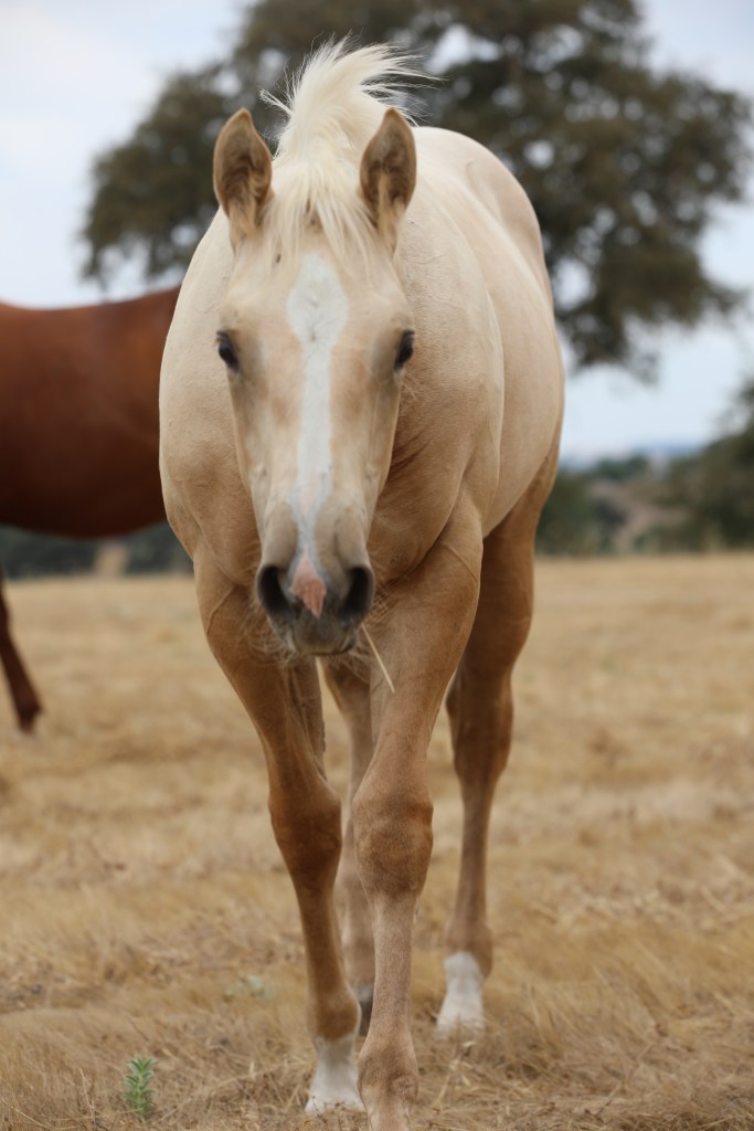 *SOLD* STRIKE A&nbsp;MATCH