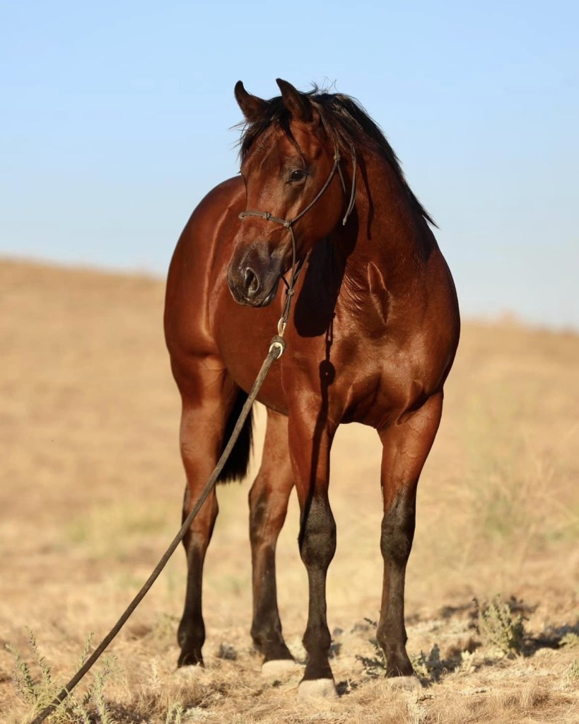 *SOLD* IM UR GAME&nbsp;CHANGER